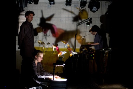 Welcome to the insects